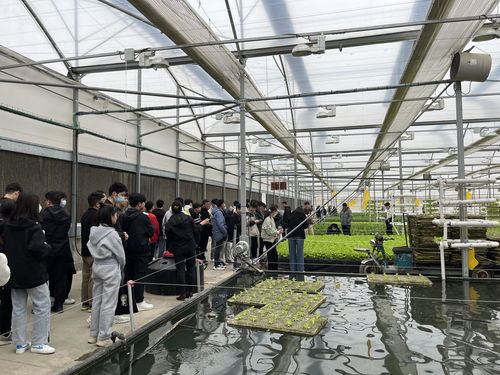 土木建筑工程学院与机电工程学院赴牧原集团开展参观学习活动